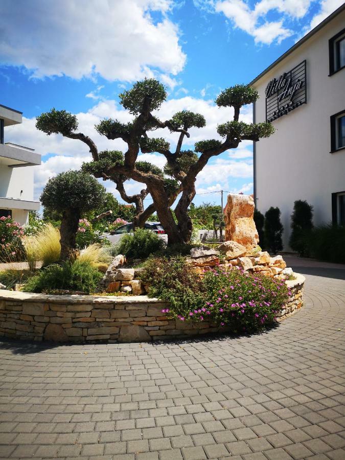 פרוי Villa Anja 1St Floor מראה חיצוני תמונה